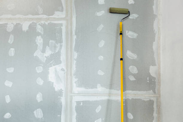 Best Commercial Mold Inspection  in Bonita Springs, FL