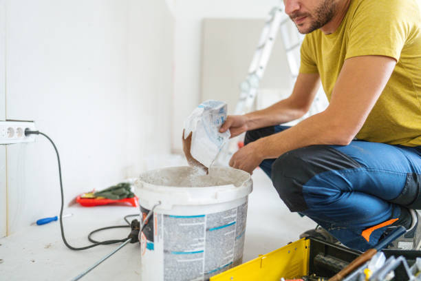 Best Mold Odor Removal Services  in Bonita Springs, FL