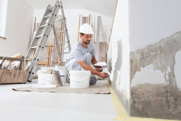Best Real Estate Mold Inspection  in Bonita Springs, FL