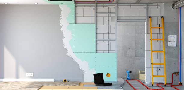 Best Mold Damage Restoration  in Bonita Springs, FL